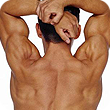 Man's Muscular Back